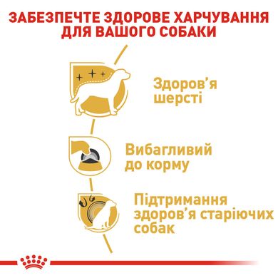 Корм для дорослих собак породи Йоркширський тер'єр ROYAL CANIN YORKSHIRE ADULT 1.5 кг