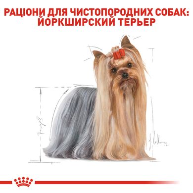 Корм для взрослых собак породы Йоркширский терьер ROYAL CANIN YORKSHIRE ADULT 1.5 кг