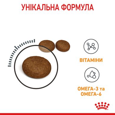 Корм для котів ROYAL CANIN HAIR&SKIN CARE 2.0 кг, для підтримки здоров’я шкіри та блиску шерсті