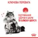 Корм для кошек ROYAL CANIN HAIR&SKIN CARE 2.0 кг, для поддержания здоровья кожи и блеска шерсти