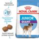 Корм для молодих собак гігантських порід ROYAL CANIN GIANT JUNIOR (джуніор) 15.0 кг, 15 кг