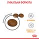 Корм для котів ROYAL CANIN HAIR&SKIN CARE 2.0 кг, для підтримки здоров’я шкіри та блиску шерсті