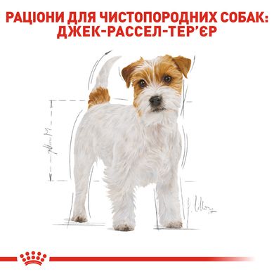 Корм для взрослых собак ROYAL CANIN JACK RUSSEL ADULT 7.5 кг, 7.5 кг