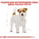 Корм для взрослых собак ROYAL CANIN JACK RUSSEL ADULT 7.5 кг, 7.5 кг