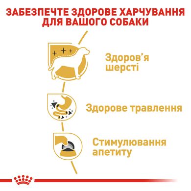 Вологий корм для дорослих собак ROYAL CANIN CHIHUAHUA ADULT 0.085 кг, 0.085 кг