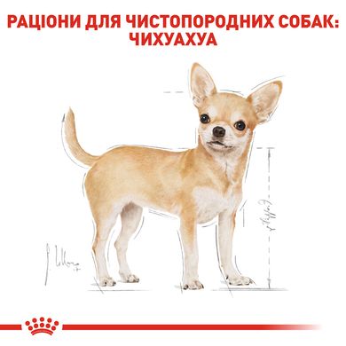 Вологий корм для дорослих собак ROYAL CANIN CHIHUAHUA ADULT 0.085 кг, 0.085 кг