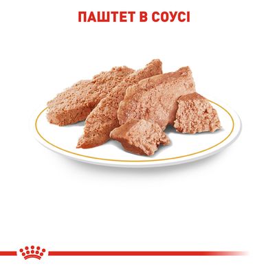 Вологий корм для дорослих собак ROYAL CANIN CHIHUAHUA ADULT 0.085 кг, 0.085 кг