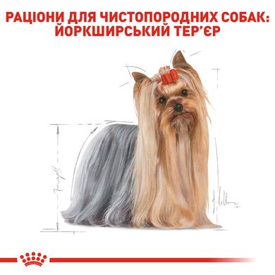 Влажный корм для взрослых собак ROYAL CANIN YORKSHIRE ADULT 0.085 кг, 0.085 кг