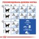 Корм для домашних кошек ROYAL CANIN INDOOR 2.0 кг