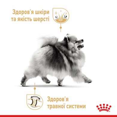 Вологий корм для собак породи Померанський шпіц ROYAL CANIN POMERANIAN ADULT паштет 85 г, 0.085 кг