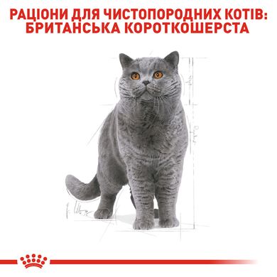 Корм для дорослих котів ROYAL CANIN BRITISH SHORTHAIR ADULT, на вагу 250 г