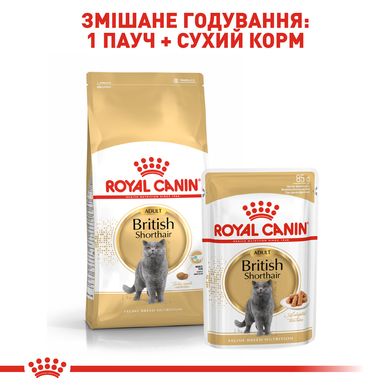 Корм для дорослих котів ROYAL CANIN BRITISH SHORTHAIR ADULT, на вагу 250 г