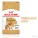 Сухий корм для дорослих собак породи Померанський шпіц ROYAL CANIN POMERANIAN ADULT 1.5 кг