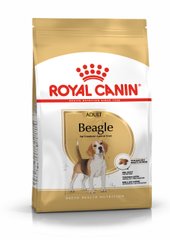 Корм для взрослых собак породы Бигль ROYAL CANIN BEAGLE ADULT 3 кг, 3 кг