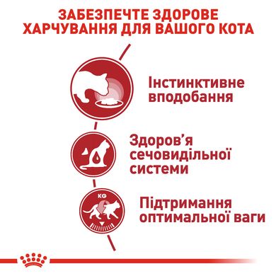 Вологий корм для дорослих котів ROYAL CANIN INSTINCTIVE IN GRAVY 0.085 кг, 0.085 кг