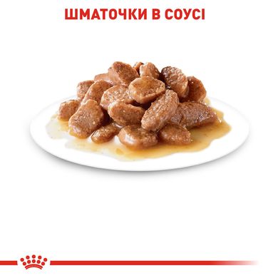 Влажный корм для взрослых кошек ROYAL CANIN INSTINCTIVE IN GRAVY 0.085 кг, 0.085 кг