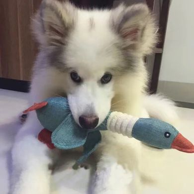 Жувальна м'яка іграшка для собак PLUSH DUCK DOG TOY - качка коричнева