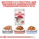 Влажный корм для взрослых кошек ROYAL CANIN INSTINCTIVE IN GRAVY 0.085 кг, 0.085 кг