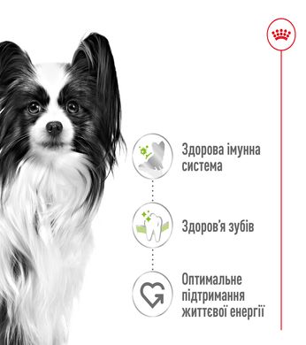 Сухий корм для дорослих собак дрібних порід ROYAL CANIN XSMALL ADULT 0.5 кг