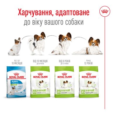 Сухий корм для дорослих собак дрібних порід ROYAL CANIN XSMALL ADULT 0.5 кг