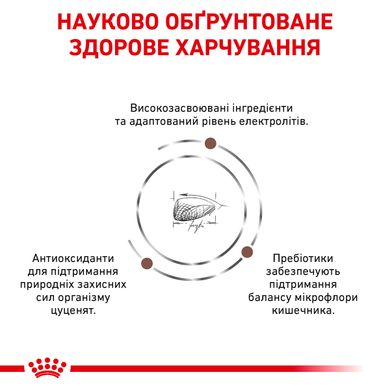 Корм для щенков ROYAL CANIN GASTRO INTESTINAL PUPPY 1 кг, 1 кг