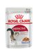 Влажный корм для взрослых кошек ROYAL CANIN INSTINCTIVE IN JELLY 0.085 кг, 0.085 кг