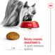 Сухий корм для дорослих собак дрібних порід ROYAL CANIN XSMALL ADULT 0.5 кг