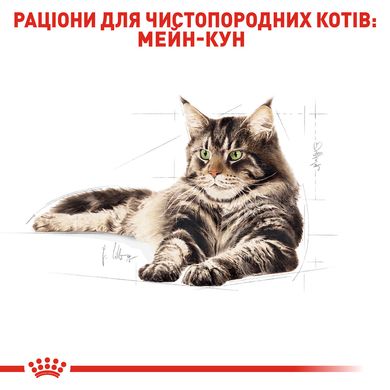 Корм для взрослых кошек породы Мейн-Кун ROYAL CANIN MAINECOON ADULT 2.0 кг