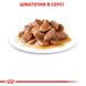 Вологий корм для дорослих стерилізованих котів ROYAL CANIN STERILISED IN GRAVY 0.085 кг, 0.085 кг