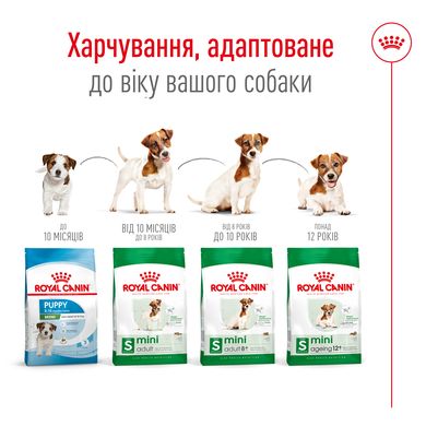 Корм для дорослих собак дрібних порід ROYAL CANIN MINI ADULT 8+(віком від 8 років) 0.8 кг, 0.8 кг