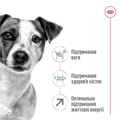 Корм для дорослих собак дрібних порід ROYAL CANIN MINI ADULT 8+(віком від 8 років) 0.8 кг, 0.8 кг