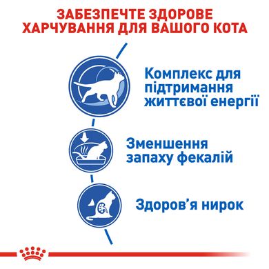 Корм для домашніх котів ROYAL CANIN INDOOR 7+ (від 7 років) 3.5 кг