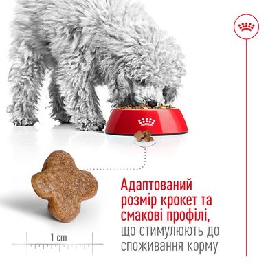 Корм для дорослих собак дрібних порід ROYAL CANIN MINI ADULT 8+(віком від 8 років) 0.8 кг, 0.8 кг