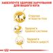 Корм для взрослых кошек породы Сиамская ROYAL CANIN SIAMESE ADULT 0.4 кг, 0.4 кг