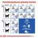 Корм для домашних кошек ROYAL CANIN INDOOR 7+ (старше 7 лет) 3.5 кг