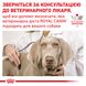 Корм для взрослых собак ROYAL CANIN SATIETY WEIGHT MANAGEMENT DOG 12.0 кг