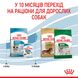 Корм для цуценят малих порід ROYAL CANIN MINI PUPPY, на вагу 250 г