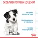 Корм для цуценят малих порід ROYAL CANIN MINI PUPPY, на вагу 250 г