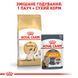 Корм для дорослих котів породи Сіамська ROYAL CANIN SIAMESE ADULT 0.4 кг, 0.4 кг