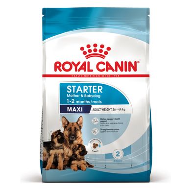 Корм для новонароджених цуценят великих порід собак ROYAL CANIN MAXI STARTER 4 кг, 4 кг