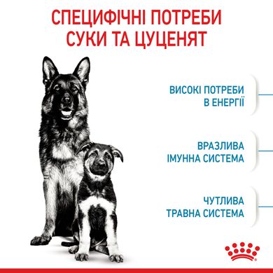 Корм для новорожденных щенков больших пород собак ROYAL CANIN MAXI STARTER 4 кг, 4 кг