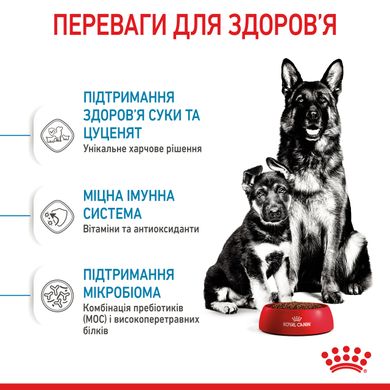 Корм для новорожденных щенков больших пород собак ROYAL CANIN MAXI STARTER 4 кг, 4 кг