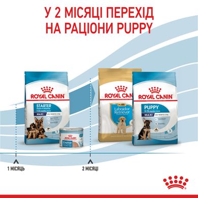 Корм для новонароджених цуценят великих порід собак ROYAL CANIN MAXI STARTER 4 кг, 4 кг