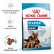 Корм для новорожденных щенков больших пород собак ROYAL CANIN MAXI STARTER 4 кг, 4 кг