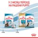 Корм для новорожденных щенков больших пород собак ROYAL CANIN MAXI STARTER 4 кг, 4 кг