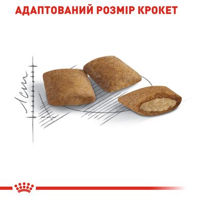 Корм для зрілих домашніх котів ROYAL CANIN AGEING 12+(від 12 років) 2.0 кг, 2 кг