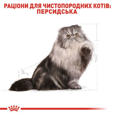 Корм для взрослых кошек породы Персидская ROYAL CANIN PERSIAN ADULT 2.0 кг, 2 кг