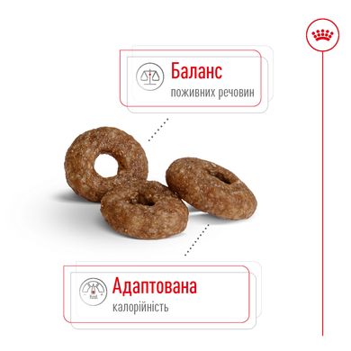 Корм для зрілих (старіючих) собак похилого віку дрібних порід ROYAL CANIN MINI AGEING 12+(від 12 років) 0.8 кг, 0.8 кг