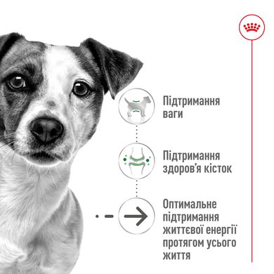 Корм для зрелых (стареющих) пожилых собак мелких пород ROYAL CANIN MINI AGEING 12+(от 12 лет) 0.8 кг, 0.8 кг