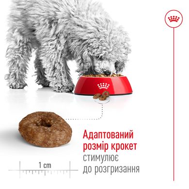 Корм для зрелых (стареющих) пожилых собак мелких пород ROYAL CANIN MINI AGEING 12+(от 12 лет) 0.8 кг, 0.8 кг